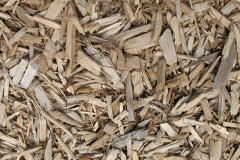 biomass boilers Careston